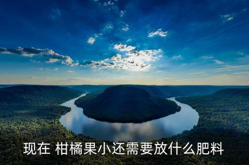 現在 柑橘果小還需要放什么肥料