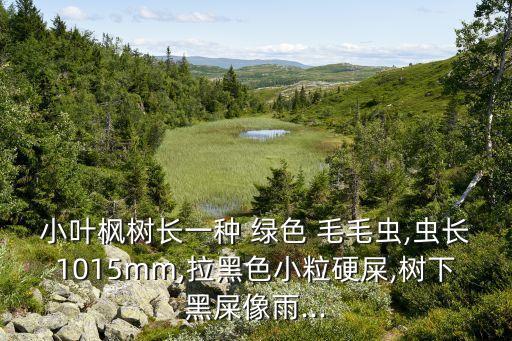 綠色毛毛蟲用什么農(nóng)藥,夢見綠色毛毛蟲什么夢