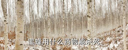 蜜蜂用什么藥物能殺死