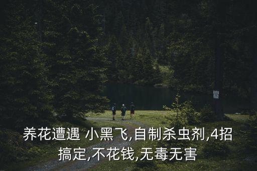 治療小黑飛用什么農(nóng)藥,除小黑飛用什么農(nóng)藥
