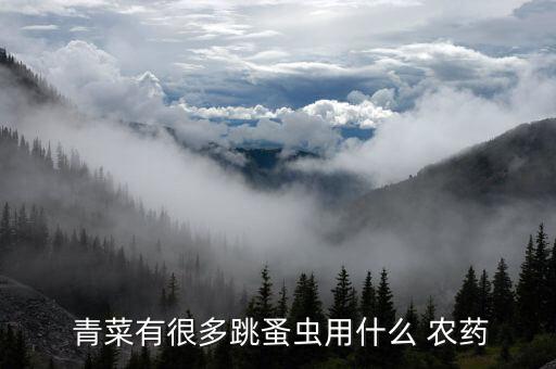 青菜噴什么農(nóng)藥夠好,噴了農(nóng)藥的青菜多久可以吃