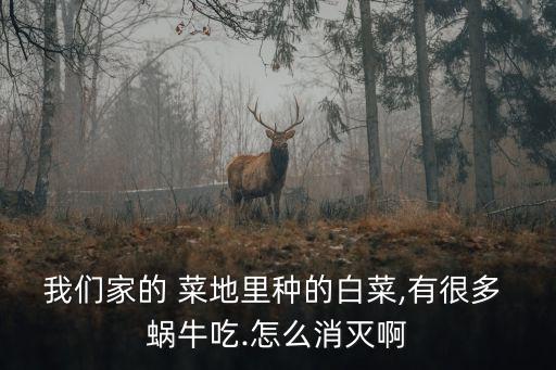 菜地蝸牛用什么農(nóng)藥最好,什么農(nóng)藥可以殺滅蝸牛