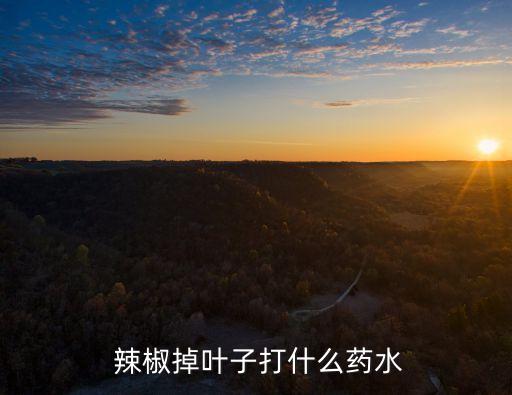 澆辣椒落葉用什么農(nóng)藥,辣椒用什么農(nóng)藥比較好