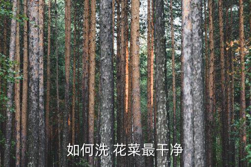 如何洗 花菜最干凈