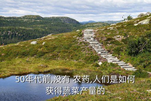 種菜為什么要用農(nóng)藥,為什么種菜要打農(nóng)藥
