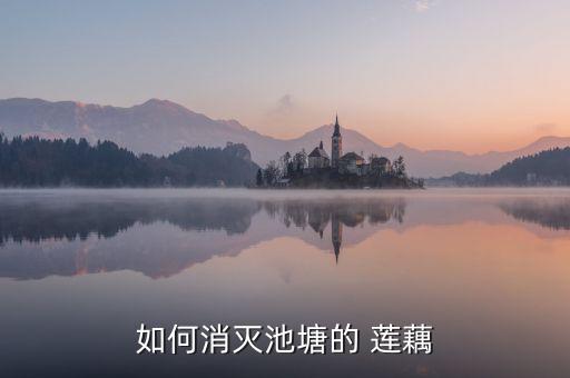 蓮藕用什么農(nóng)藥不生長(zhǎng)的,蓮藕適合在什么環(huán)境中生長(zhǎng)
