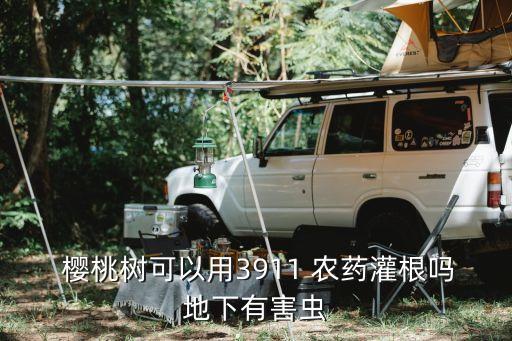  櫻桃樹可以用3911 農藥灌根嗎地下有害蟲