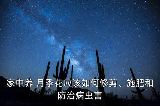 家中養 月季花應該如何修剪、施肥和防治病蟲害