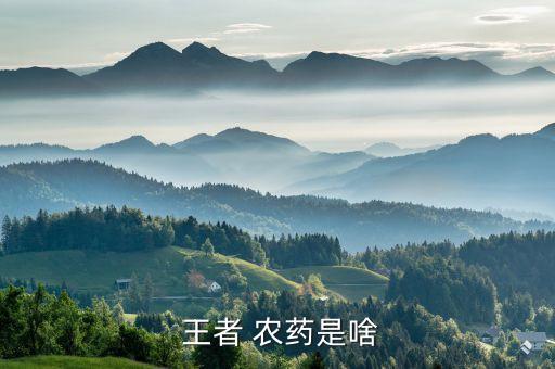  王者 農藥是啥