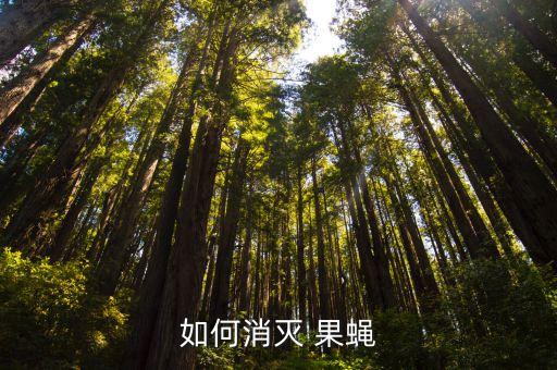 果蠅噴什么農藥,消滅果蠅最有效的農藥