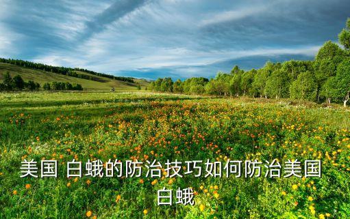 美國 白蛾的防治技巧如何防治美國 白蛾