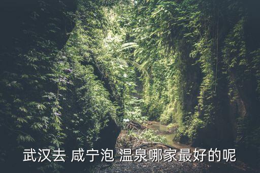 咸寧溫泉什么地方買農藥