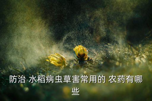 南方水稻用什么農(nóng)藥好些,什么農(nóng)藥對(duì)水稻傷害最大