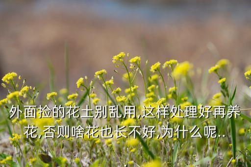 外面撿的花土別亂用,這樣處理好再養花,否則啥花也長不好,為什么呢...