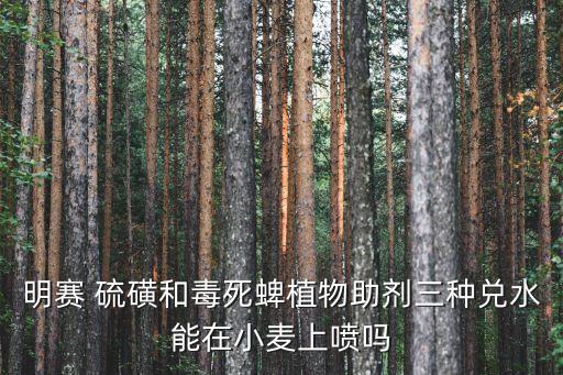 明賽 硫磺和毒死蜱植物助劑三種兌水能在小麥上噴嗎