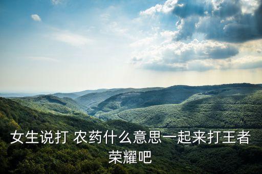 女生說打 農藥什么意思一起來打王者榮耀吧