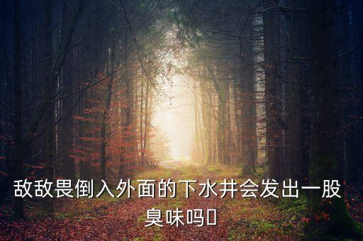 敵敵畏倒入外面的下水井會發出一股 臭味嗎?
