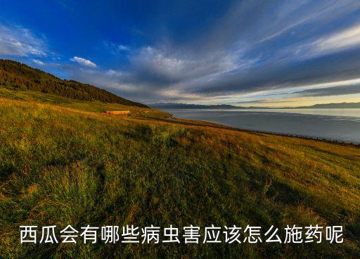  西瓜會有哪些病蟲害應該怎么施藥呢