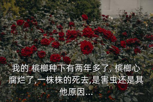 檳榔葉子蟲害噴什么農藥,檳榔蟲害用什么藥