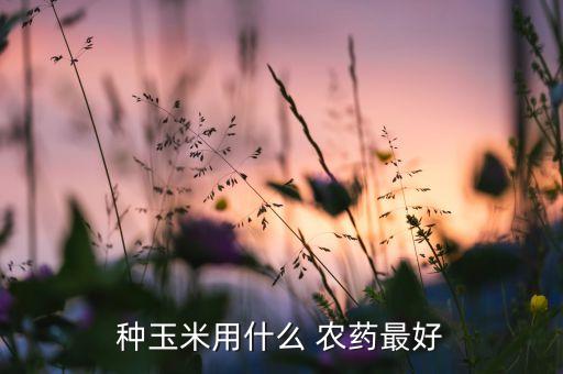種玉米用什么 農藥最好
