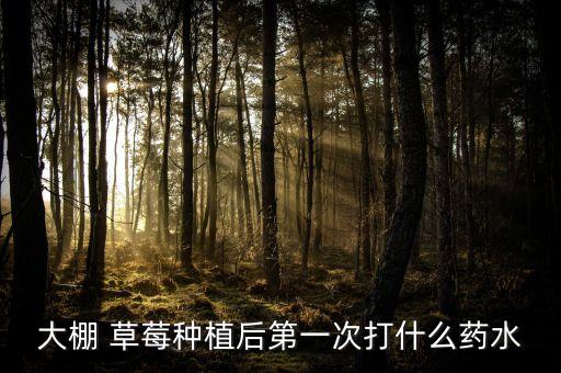 大棚 草莓種植后第一次打什么藥水