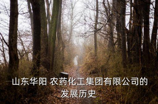  山東華陽 農(nóng)藥化工集團有限公司的發(fā)展歷史