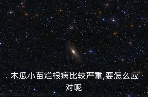  木瓜小苗爛根病比較嚴重,要怎么應對呢