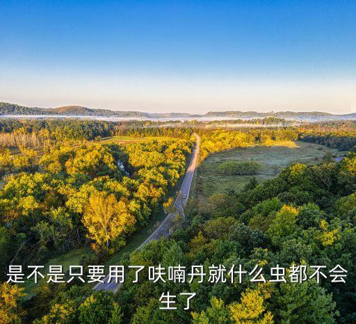 農藥殺蟲丹什么作用,粒粒飽農藥有什么作用