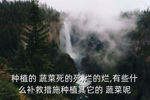 ,什么農藥可以使蔬菜腐爛好