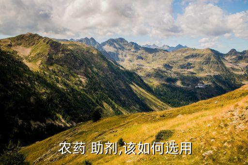 有機硅農藥助劑的作用,農藥助劑起什么作用