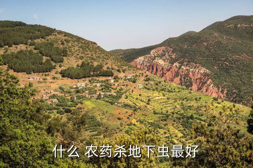 什么 農藥殺地下蟲最好