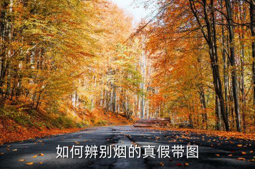 如何辨別煙的真假帶圖