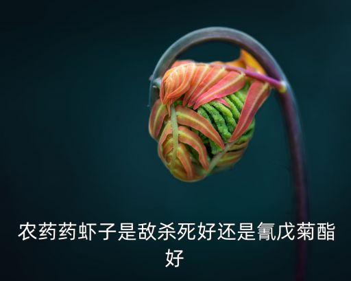  農藥藥蝦子是敵殺死好還是氰戊菊酯好