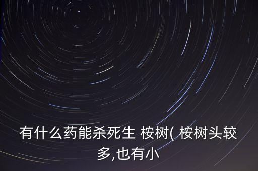 有什么藥能殺死生 桉樹( 桉樹頭較多,也有小