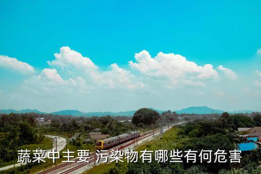 什么東西容易被農(nóng)藥污染,農(nóng)藥污染對(duì)其他有什么危害