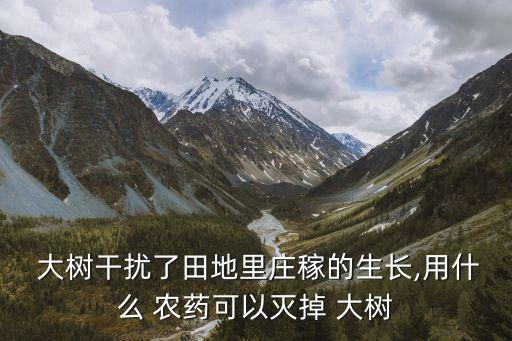  大樹干擾了田地里莊稼的生長,用什么 農藥可以滅掉 大樹