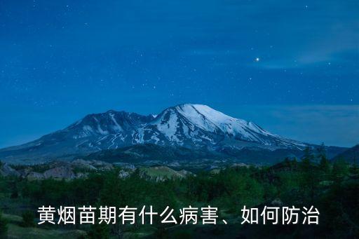 黃煙苗期有什么病害、如何防治