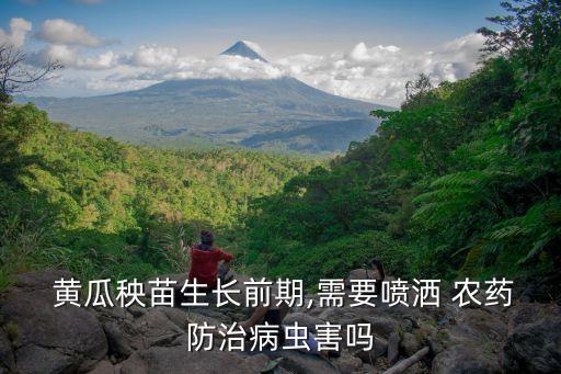 種植黃瓜用什么農(nóng)藥,黃瓜種植株距行距多少