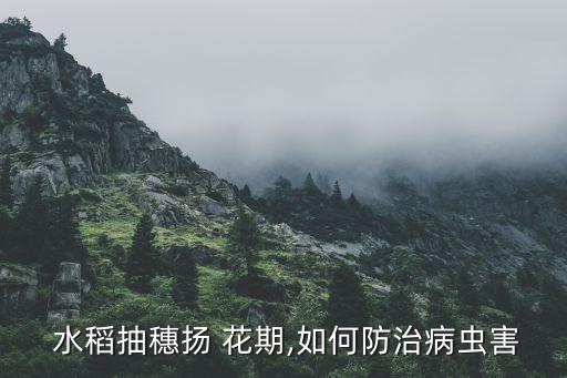什么農藥對水稻花期有害,水稻打了農藥人吃了有害嗎