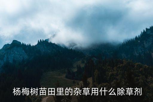  楊梅樹苗田里的雜草用什么除草劑