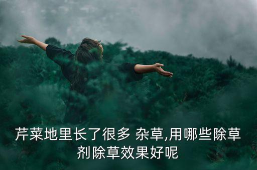 農(nóng)村雜草打什么農(nóng)藥好呢,春季雜草用什么農(nóng)藥效果好