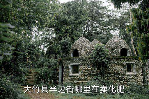 大竹縣半邊街哪里在賣化肥