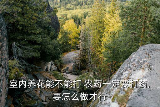 花草什么時候打農(nóng)藥,什么時候打農(nóng)藥效果最好