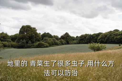 青菜打蟲用什么農(nóng)藥,什么能代替農(nóng)藥打蟲