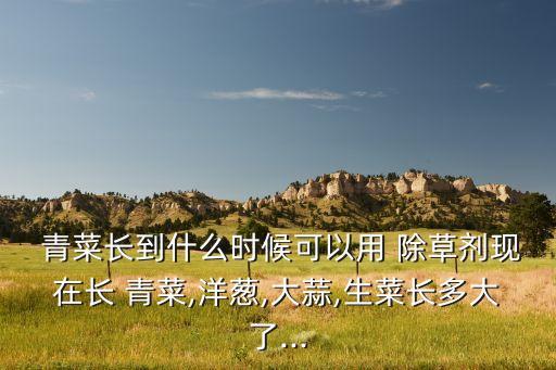  青菜長到什么時候可以用 除草劑現(xiàn)在長 青菜,洋蔥,大蒜,生菜長多大了...