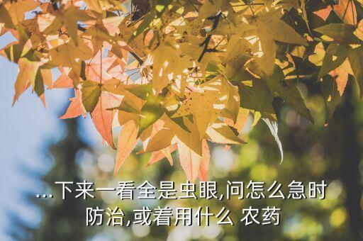 辣椒用什么農藥能防治,打辣椒農藥什么時間打效果好