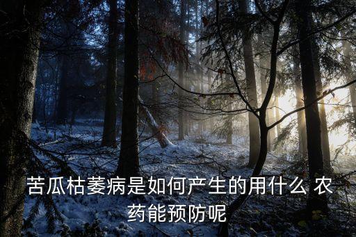  苦瓜枯萎病是如何產生的用什么 農藥能預防呢