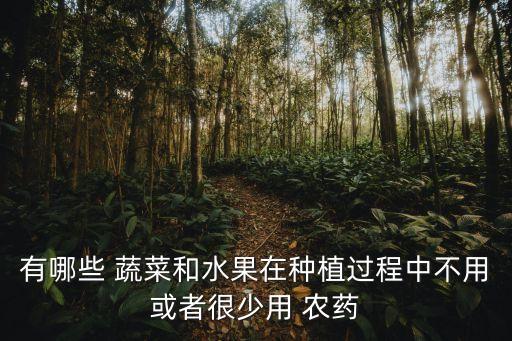 種什么蔬菜不會有農藥,什么蔬菜吃了不會胖