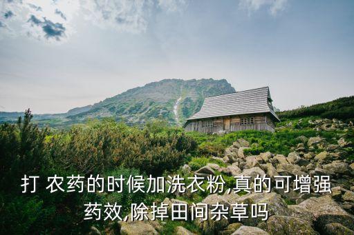打 農藥的時候加洗衣粉,真的可增強藥效,除掉田間雜草嗎