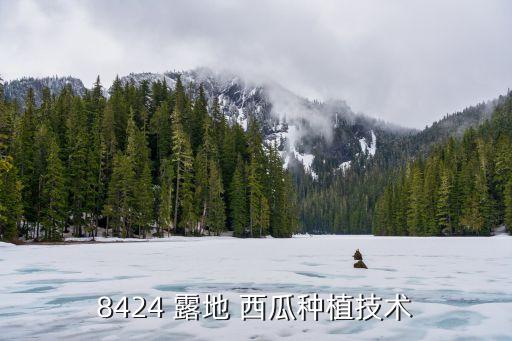 8424 露地 西瓜種植技術(shù)